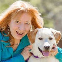 Ann Finley