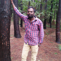 Edu Krishna