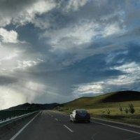 张树平