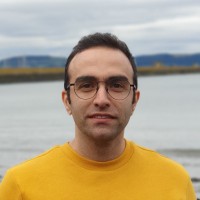 Farid Shafigh