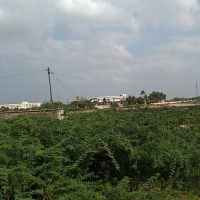 Sudesh Sudeshmoond