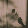 Over Thinking