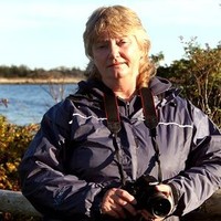 Karen Rode