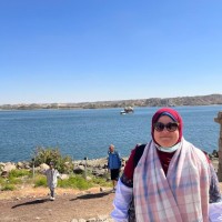 Hadeer Hassan