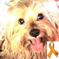 Mirko Valentín Von Mein Schatz