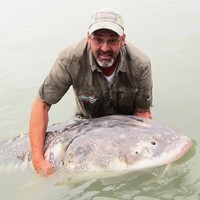 Steve Kaye