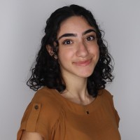 Anya Mirmajlesi