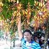 Anandhan P
