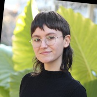 Jude Brandt