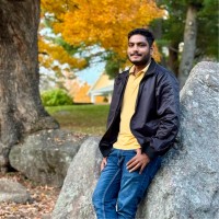 Bala Krishnan V