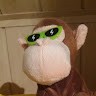funny Monkey