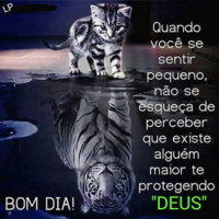 Francisco Jose