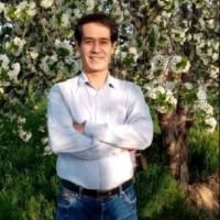 mohammadreza Hakimi