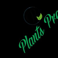 Plant Press