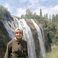 Dilruba Yazıcı
