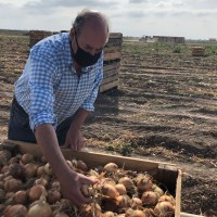 Pedro José Iglesias del Encinar