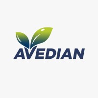 Avedian S.L