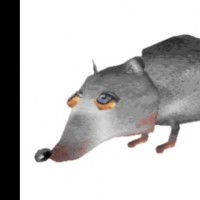 Rat Johnson