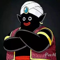 Tippu Tip Van Flipflopistan
