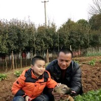 李国冰