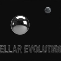 STELLAR EVOLUTION LLC