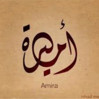 Amira Hamza
