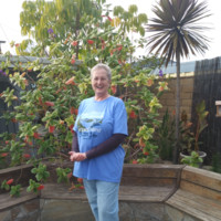 Linda Wickert