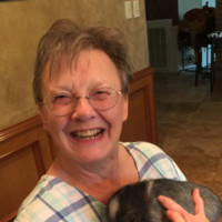 Sue Brooks