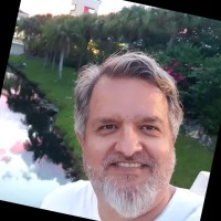 Luiz Fernando de L. Lara