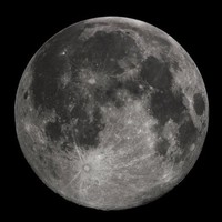 Gary Moon