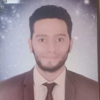 Mostafa Nasr