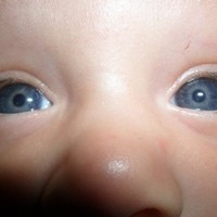 rafael jimenez arias