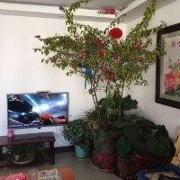 徐仕泉