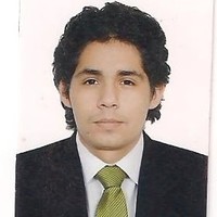 LUIS BRANDON SANCHEZ ZAPATA