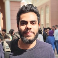 Mohamed Halawany
