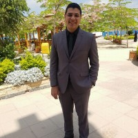 Mohammed Kamel
