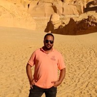 Wael Labib Mohamed