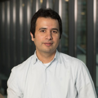 Tauseef Ali, PhD