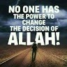 Hammad Lawal