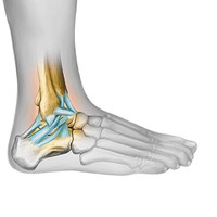 Podologie Israel פודולוג