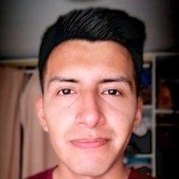 david toapanta tapia