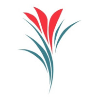 Work Evolution Recursos Humanos