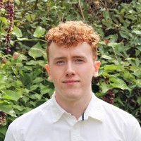 Thomas Cordall