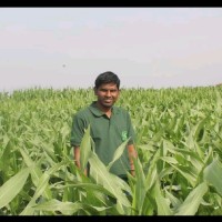 vellanki ravi