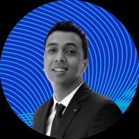 Mahmoud Elhamshary