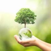 Harish Manchiganahalli