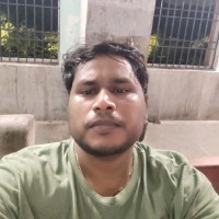Gokulraj N