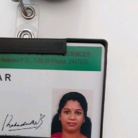Rakhi Ar