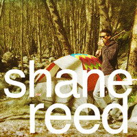 Shane Reed