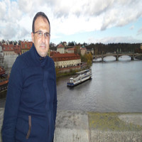 Hayder Abdulwahid Aledany